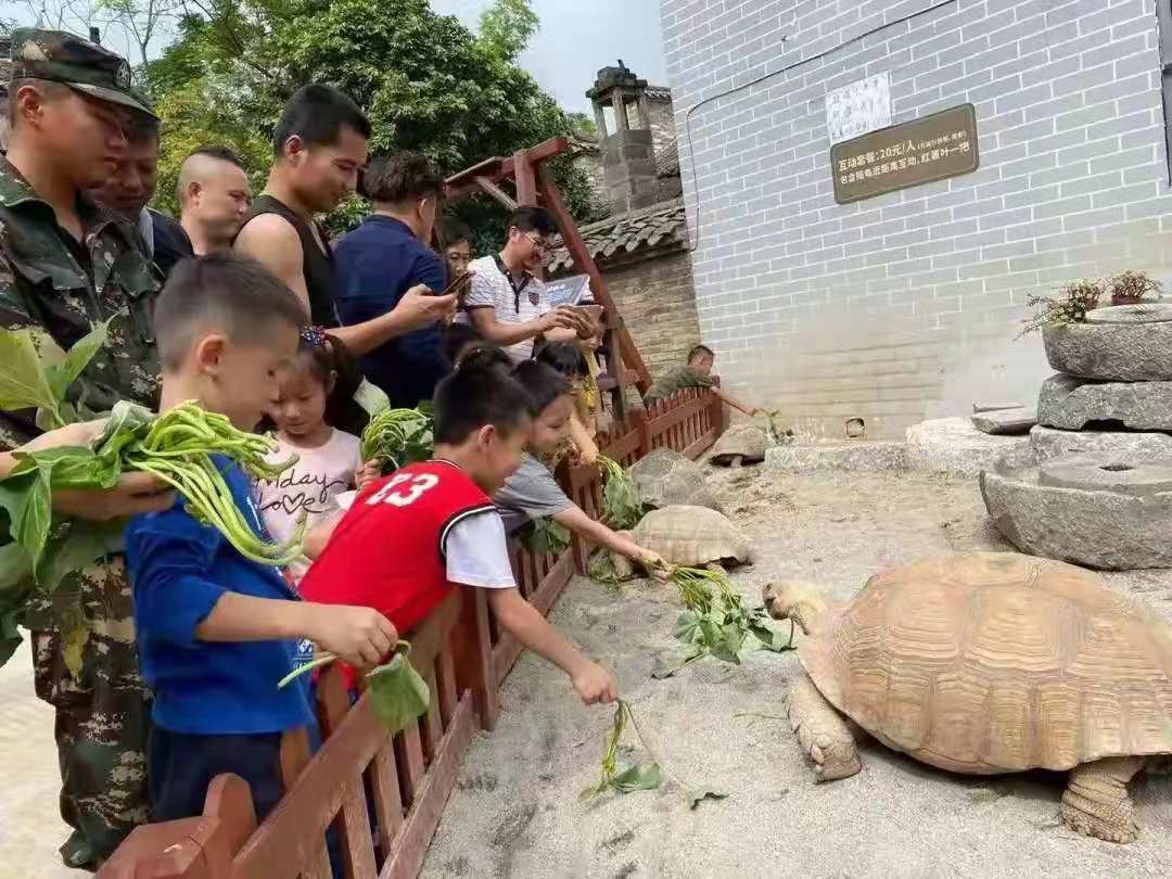 【楚学青瓦房爱国研学】一场爱国革命之旅带你领略中国历史的厚重与中国精神强大！ 研学活动 6